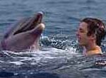 Flipper 1996 Flipper 1996