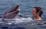 Flipper 1996 Flipper 1996