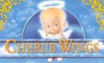 Cherub Wings: Follow the Leader Cherub Wings: Follow the Leader
