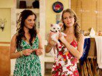 Beverly Hills Chihuahua Beverly Hills Chihuahua