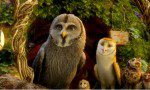 Legend of the Guardians: The Owls of Ga Hoole Legend of the Guardians: The Owls of Ga Hoole