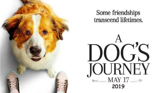 A Dog’s Journey: What We Learn Along the Way