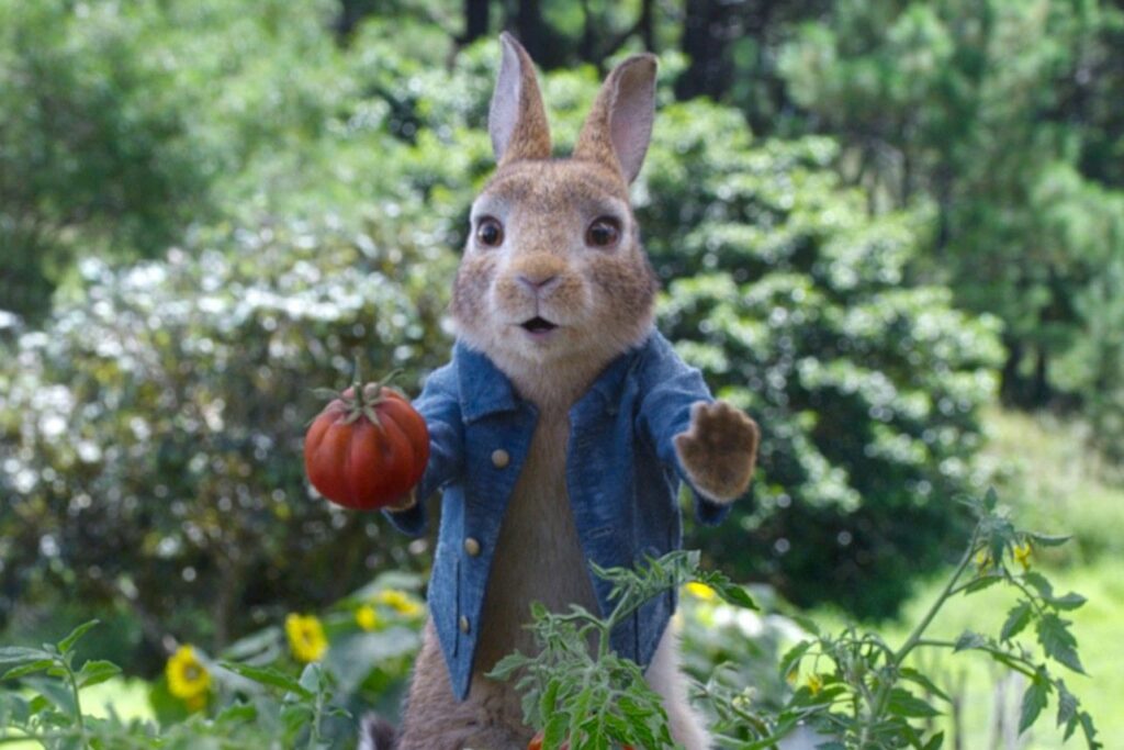 Peter Rabbit 2 - The Runaway: Finding Family 