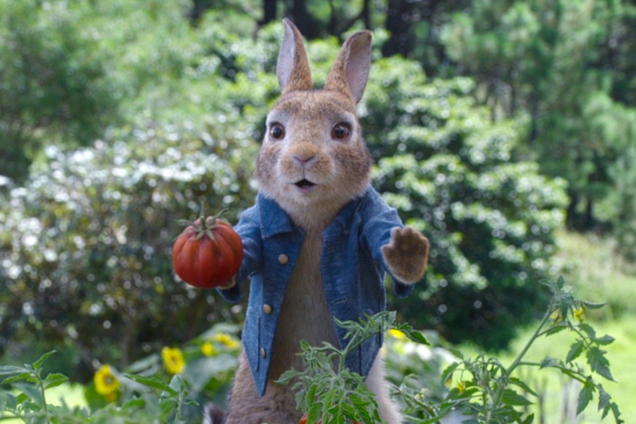 Peter Rabbit 2 The Runaway Finding Family