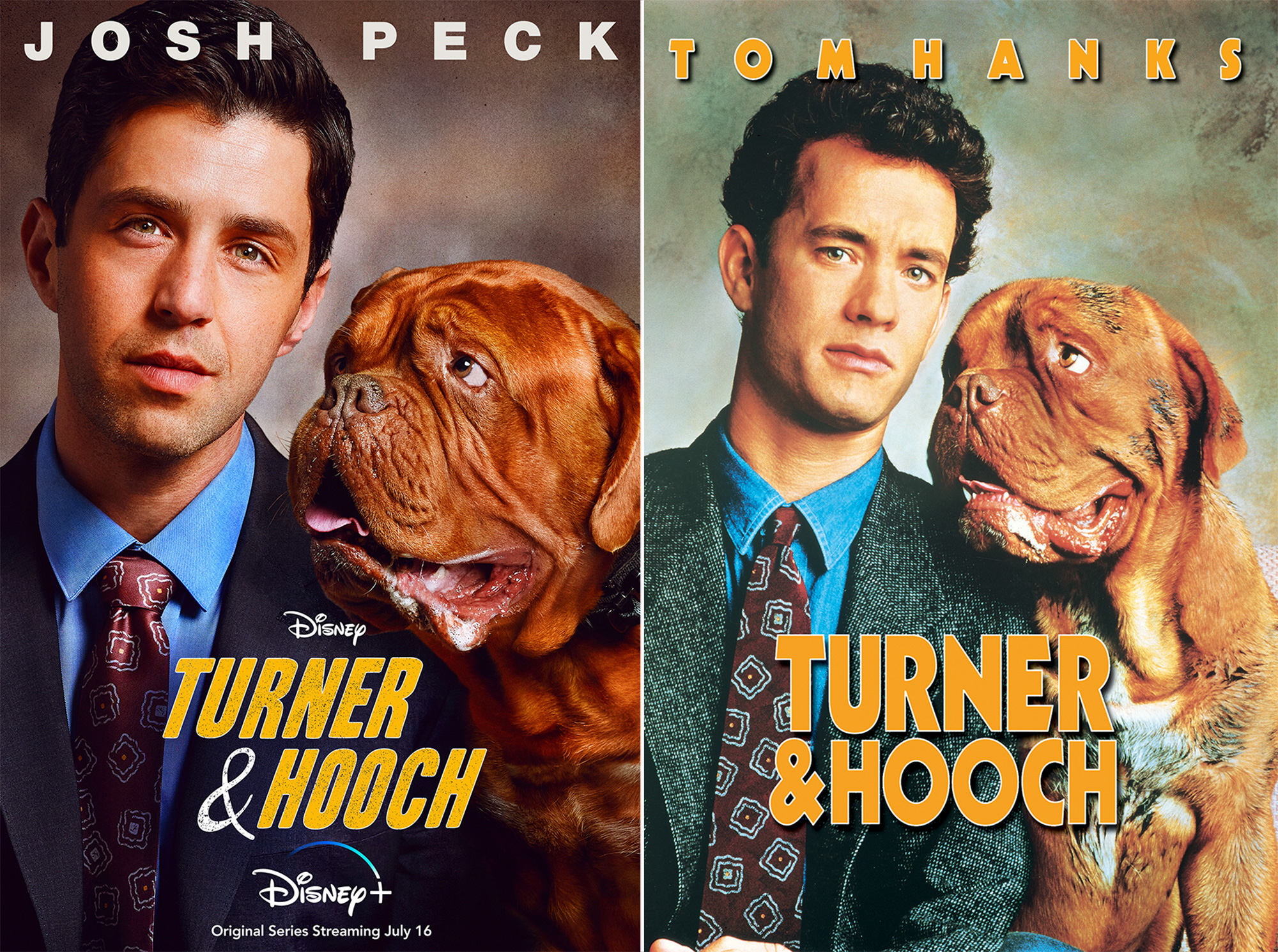 What type of dog was in turner and hot sale hooch